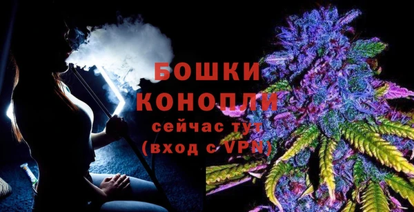 PSILOCYBIN Бугульма